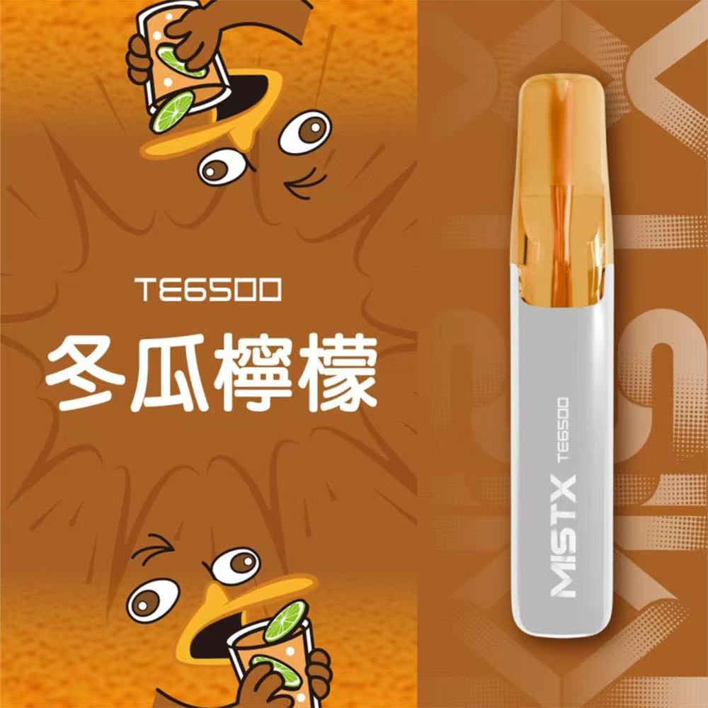 MIST X 鴨嘴獸 6500口拋棄式電子煙/一次性電子煙-台灣現貨